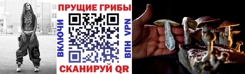 даркнет сайт  Хасавюрт  Галлюциногенные грибы мухоморы 