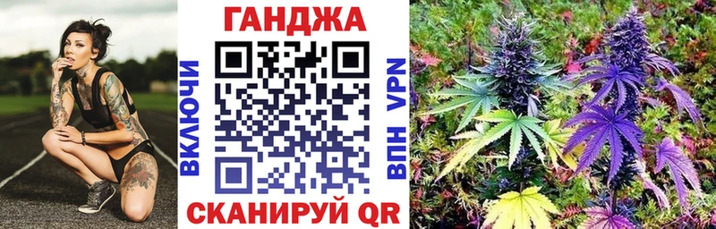 Шишки марихуана план  сколько стоит  Хасавюрт 